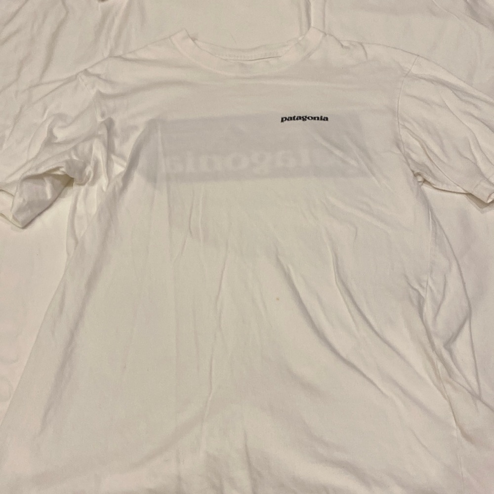 Boys, Patagonia T-shirt. Truly like new.